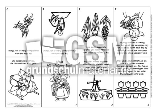 Lese-Mal-Faltbuch-Tulpe-3.pdf